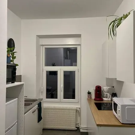 Cosy Rent Wifi Gare 1 Dream Host * Strasbourg