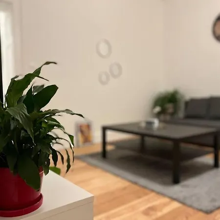 Cosy Rent Wifi Gare 1 Dream Host Apartment