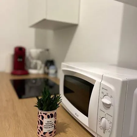 Apartment Cosy Rent Wifi Gare 1 Dream Host Strasbourg