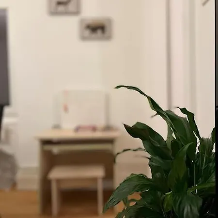 Cosy Rent Wifi Gare 1 Dream Host Apartment *